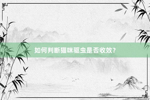 如何判断猫咪驱虫是否收效?