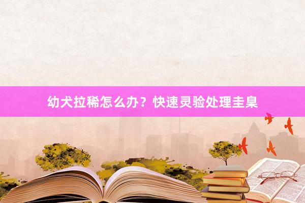 幼犬拉稀怎么办？快速灵验处理圭臬