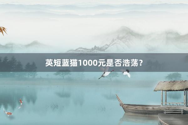 英短蓝猫1000元是否浩荡？