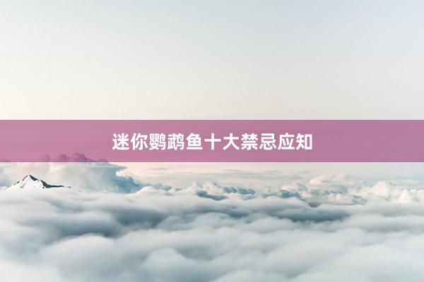 迷你鹦鹉鱼十大禁忌应知
